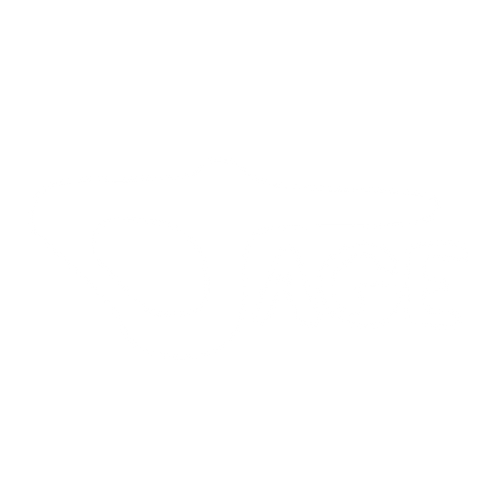 4AGE